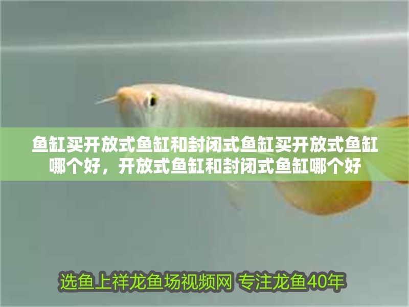 魚缸買開放式魚缸和封閉式魚缸買開放式魚缸哪個(gè)好，開放式魚缸和封閉式魚缸哪個(gè)好