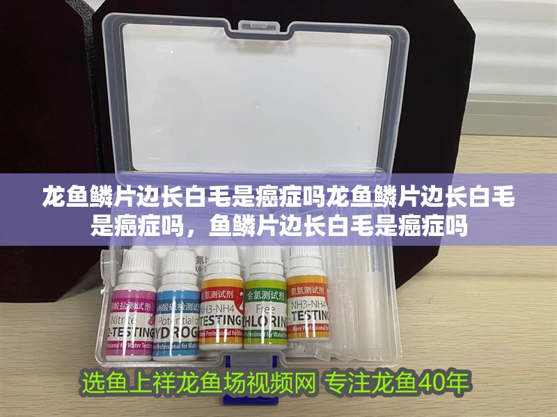 龍魚鱗片邊長白毛是癌癥嗎龍魚鱗片邊長白毛是癌癥嗎，魚鱗片邊長白毛是癌癥嗎