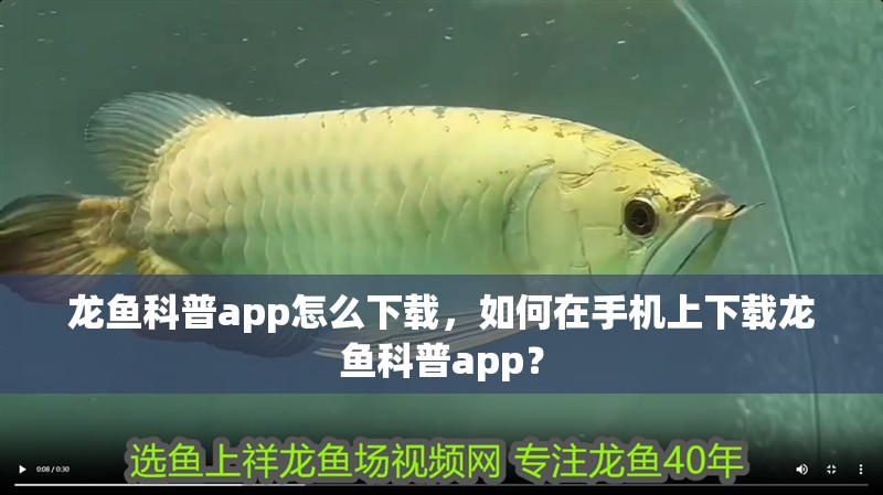 龍魚科普app怎么下載，如何在手機上下載龍魚科普app？