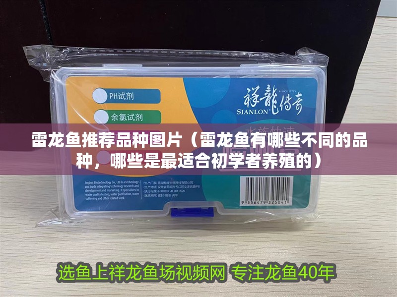 雷龍魚推薦品種圖片（雷龍魚有哪些不同的品種，哪些是最適合初學(xué)者養(yǎng)殖的） 雷龍魚推薦品種圖片（雷龍魚有哪些不同的品種，哪些是最適合初學(xué)者養(yǎng)殖的） 觀賞魚百科 第2張