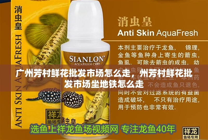 廣州芳村鮮花批發市場怎么走，州芳村鮮花批發市場坐地鐵怎么走