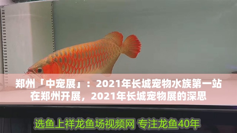 鄭州「中寵展」：2021年長城寵物水族第一站在鄭州開展，2021年長城寵物展的深思