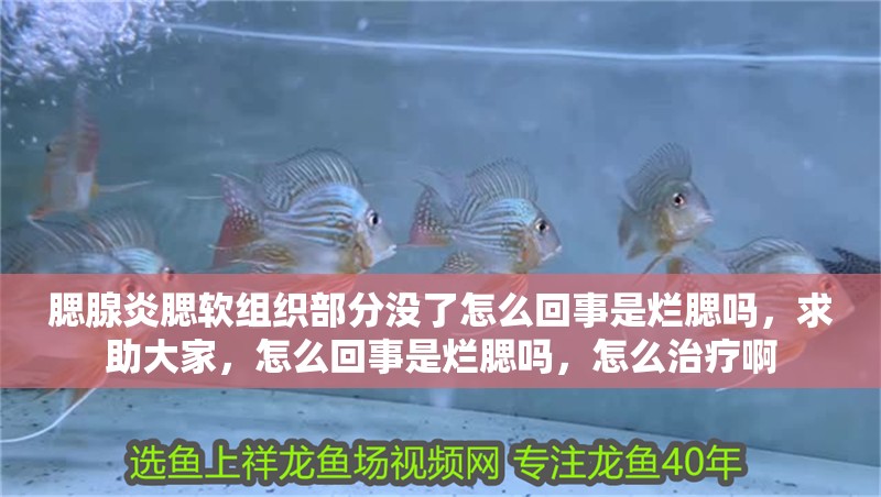 腮腺炎腮軟組織部分沒了怎么回事是爛腮嗎，求助大家，怎么回事是爛腮嗎，怎么治療啊