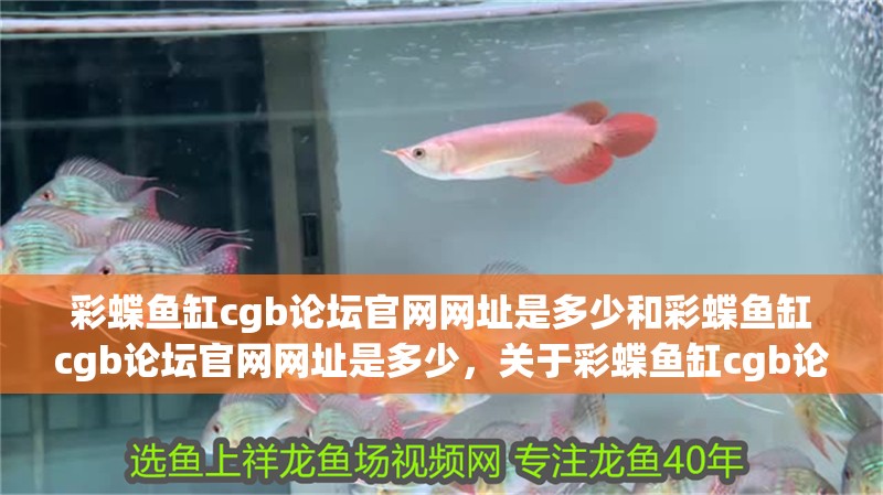 彩蝶魚缸cgb論壇官網網址是多少和彩蝶魚缸cgb論壇官網網址是多少，關于彩蝶魚缸cgb論壇官網網址是多少