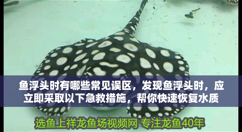 魚浮頭時(shí)有哪些常見誤區(qū)，發(fā)現(xiàn)魚浮頭時(shí)，應(yīng)立即采取以下急救措施，幫你快速恢復(fù)水質(zhì)