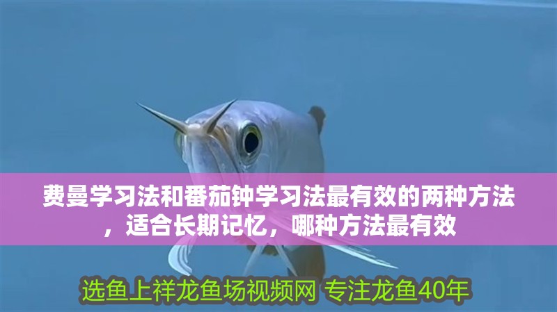 費(fèi)曼學(xué)習(xí)法和番茄鐘學(xué)習(xí)法最有效的兩種方法，適合長(zhǎng)期記憶，哪種方法最有效
