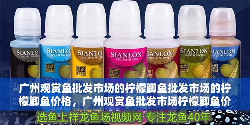 廣州觀賞魚批發市場的檸檬鯽魚批發市場的檸檬鯽魚價格，廣州觀賞魚批發市場檸檬鯽魚價格 廣州觀賞魚批發市場的檸檬鯽魚批發市場的檸檬鯽魚價格，廣州觀賞魚批發市場檸檬鯽魚價格 觀賞魚百科 第1張