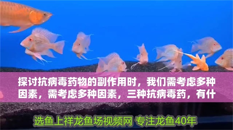 探討抗病毒藥物的副作用時，我們需考慮多種因素，需考慮多種因素，三種抗病毒藥，有什么區(qū)別