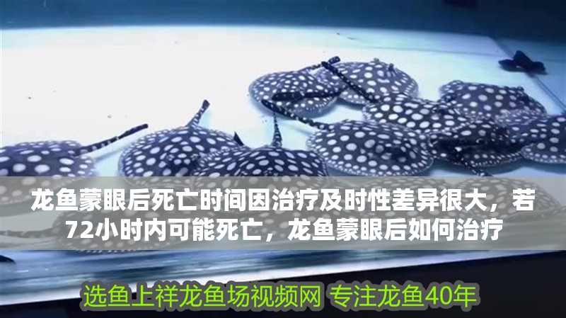 龍魚蒙眼后死亡時間因治療及時性差異很大，若72小時內可能死亡，龍魚蒙眼后如何治療