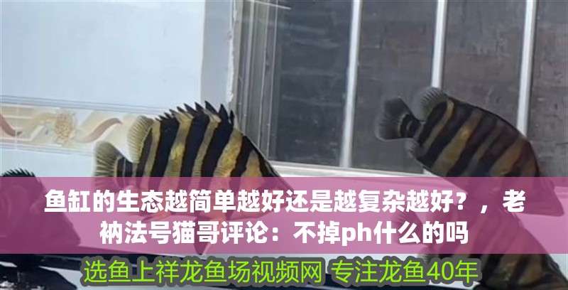 魚缸的生態(tài)越簡單越好還是越復(fù)雜越好？，老衲法號貓哥評論：不掉ph什么的嗎