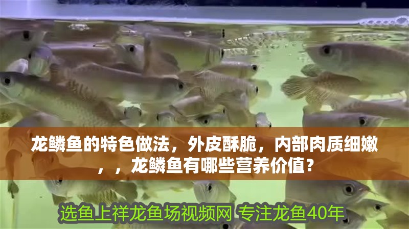 龍鱗魚的特色做法，外皮酥脆，內部肉質細嫩，，龍鱗魚有哪些營養價值？