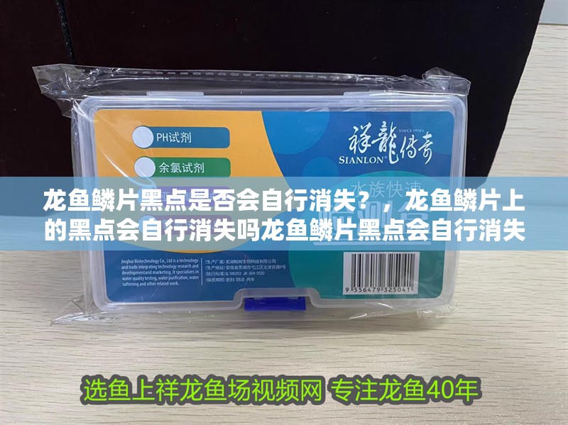 龍魚鱗片黑點(diǎn)是否會(huì)自行消失？，龍魚鱗片上的黑點(diǎn)會(huì)自行消失嗎龍魚鱗片黑點(diǎn)會(huì)自行消失嗎