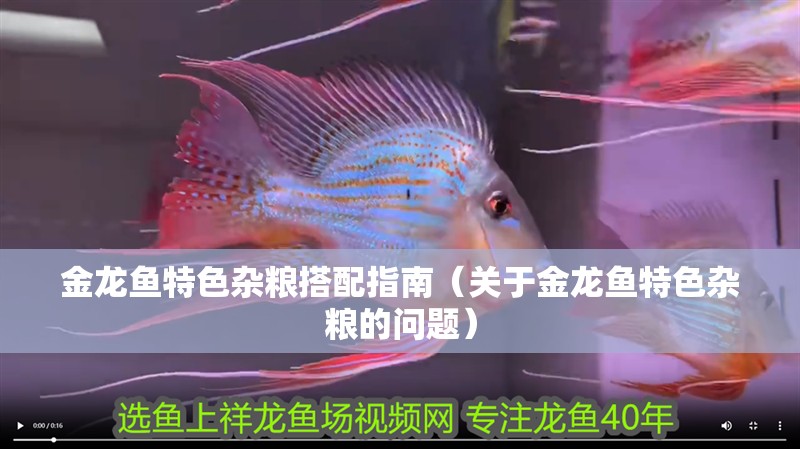 金龍魚特色雜糧搭配指南（關于金龍魚特色雜糧的問題）