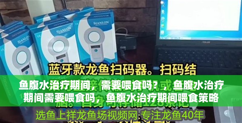 魚腹水治療期間，需要喂食嗎？，魚腹水治療期間需要喂食嗎，魚腹水治療期間喂食策略