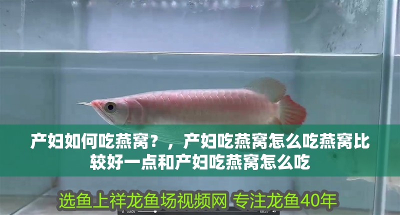 產(chǎn)婦如何吃燕窩？，產(chǎn)婦吃燕窩怎么吃燕窩比較好一點和產(chǎn)婦吃燕窩怎么吃