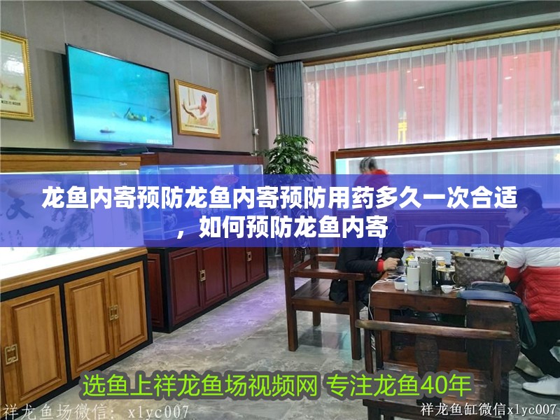 龍魚內(nèi)寄預防龍魚內(nèi)寄預防用藥多久一次合適，如何預防龍魚內(nèi)寄