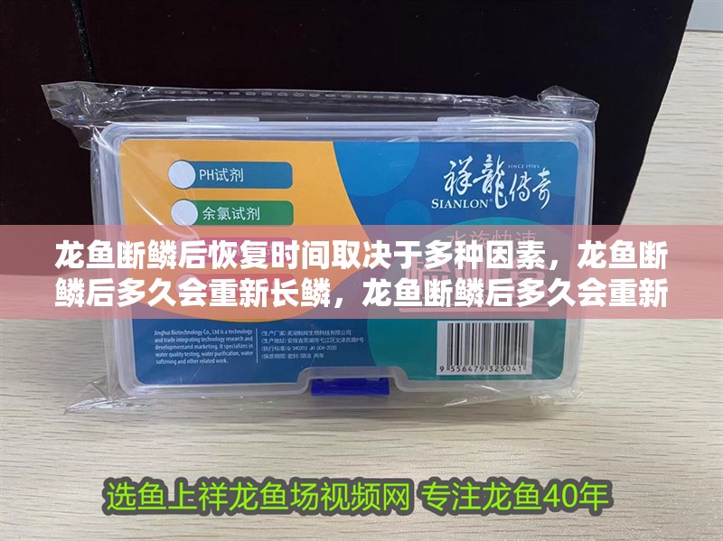 龍魚斷鱗后恢復時間取決于多種因素，龍魚斷鱗后多久會重新長鱗，龍魚斷鱗后多久會重新長鱗？