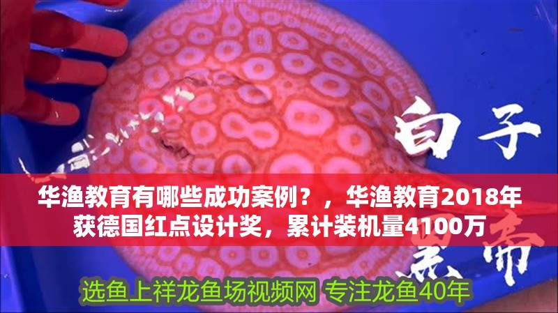 華漁教育有哪些成功案例？，華漁教育2018年獲德國(guó)紅點(diǎn)設(shè)計(jì)獎(jiǎng)，累計(jì)裝機(jī)量4100萬(wàn) 華漁教育有哪些成功案例？，華漁教育2018年獲德國(guó)紅點(diǎn)設(shè)計(jì)獎(jiǎng)，累計(jì)裝機(jī)量4100萬(wàn) 龍魚(yú)百科 第3張