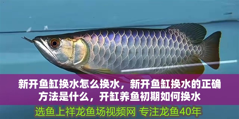 新開魚缸換水怎么換水，新開魚缸換水的正確方法是什么，開缸養魚初期如何換水