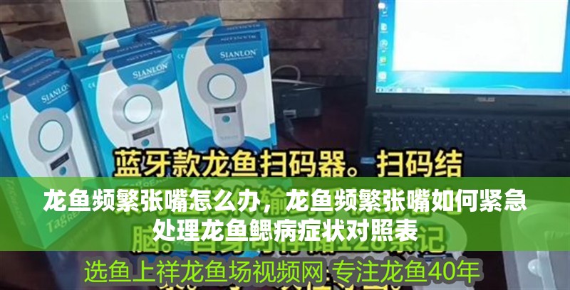 龍魚頻繁張嘴怎么辦，龍魚頻繁張嘴如何緊急處理龍魚鰓病癥狀對照表