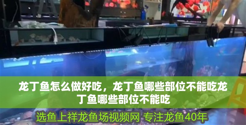 龍丁魚(yú)怎么做好吃，龍丁魚(yú)哪些部位不能吃龍丁魚(yú)哪些部位不能吃