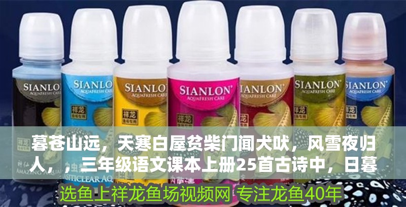 暮蒼山遠，天寒白屋貧柴門聞犬吠，風雪夜歸人，，三年級語文課本上冊25首古詩中，日暮蒼山遠