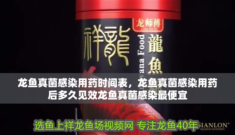 龍魚真菌感染用藥時間表，龍魚真菌感染用藥后多久見效龍魚真菌感染最便宜