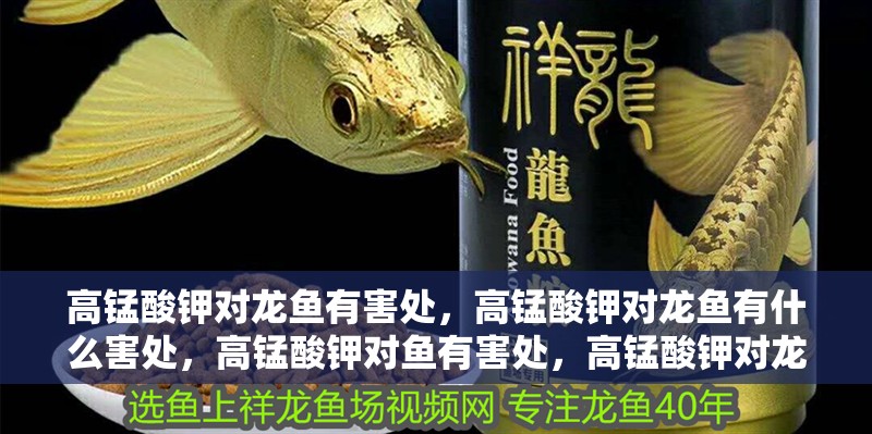 高錳酸鉀對龍魚有害處，高錳酸鉀對龍魚有什么害處，高錳酸鉀對魚有害處，高錳酸鉀對龍魚有什么害處？
