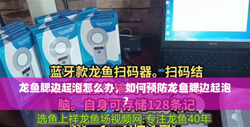 龍魚腮邊起泡怎么辦，如何預防龍魚腮邊起泡？