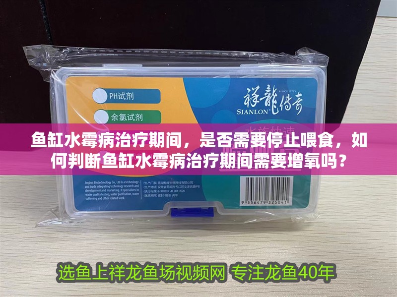 魚缸水霉病治療期間，是否需要停止喂食，如何判斷魚缸水霉病治療期間需要增氧嗎？
