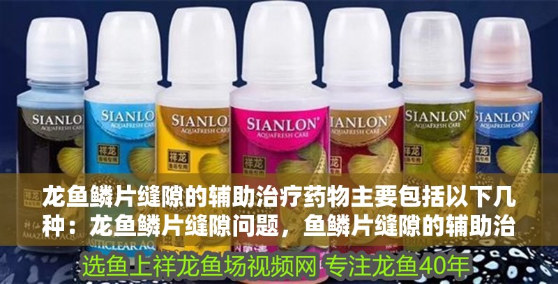 龍魚鱗片縫隙的輔助治療藥物主要包括以下幾種：龍魚鱗片縫隙問題，魚鱗片縫隙的輔助治療藥物
