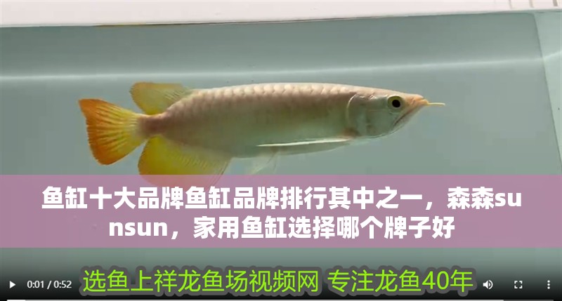 魚(yú)缸十大品牌魚(yú)缸品牌排行其中之一，森森sunsun，家用魚(yú)缸選擇哪個(gè)牌子好