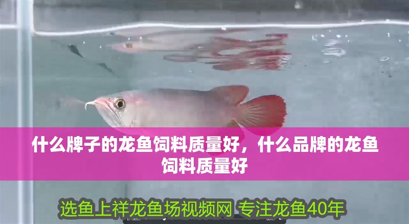什么牌子的龍魚飼料質(zhì)量好，什么品牌的龍魚飼料質(zhì)量好