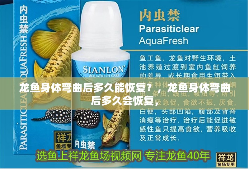 龍魚身體彎曲后多久能恢復(fù)？，龍魚身體彎曲后多久會恢復(fù)，