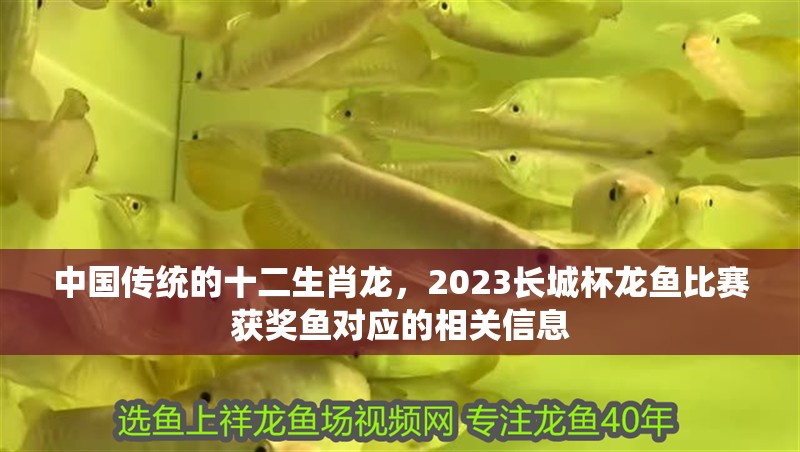 中國(guó)傳統(tǒng)的十二生肖龍，2023長(zhǎng)城杯龍魚(yú)比賽獲獎(jiǎng)魚(yú)對(duì)應(yīng)的相關(guān)信息