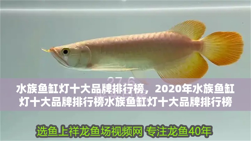 水族魚缸燈十大品牌排行榜，2020年水族魚缸燈十大品牌排行榜水族魚缸燈十大品牌排行榜 水族魚缸燈十大品牌排行榜，2020年水族魚缸燈十大品牌排行榜水族魚缸燈十大品牌排行榜 觀賞魚百科 第1張