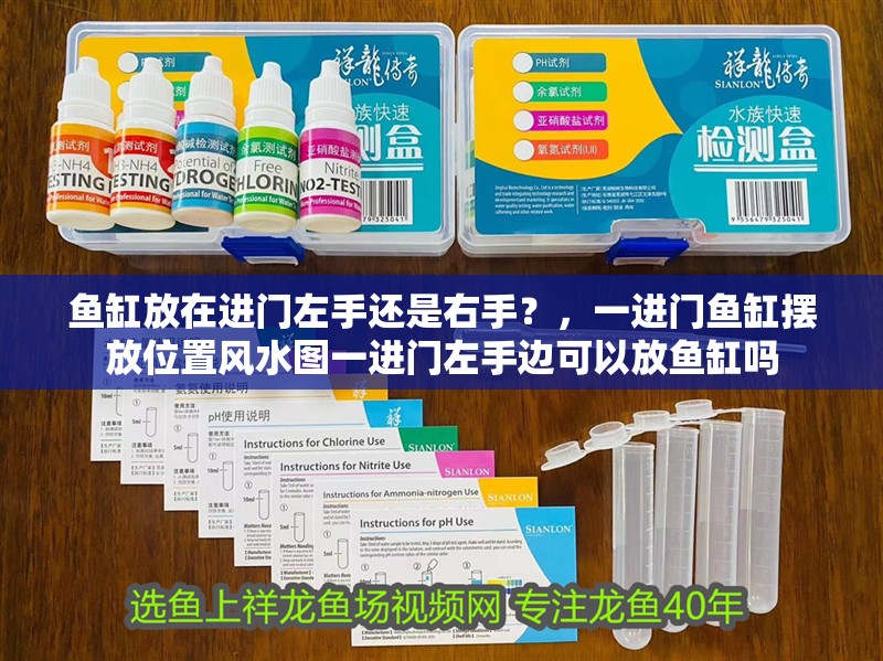 魚(yú)缸放在進(jìn)門左手還是右手？，一進(jìn)門魚(yú)缸擺放位置風(fēng)水圖一進(jìn)門左手邊可以放魚(yú)缸嗎