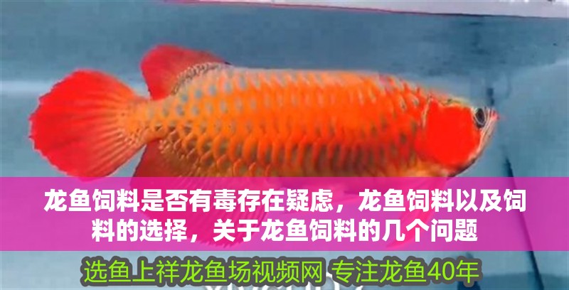 龍魚飼料是否有毒存在疑慮，龍魚飼料以及飼料的選擇，關于龍魚飼料的幾個問題