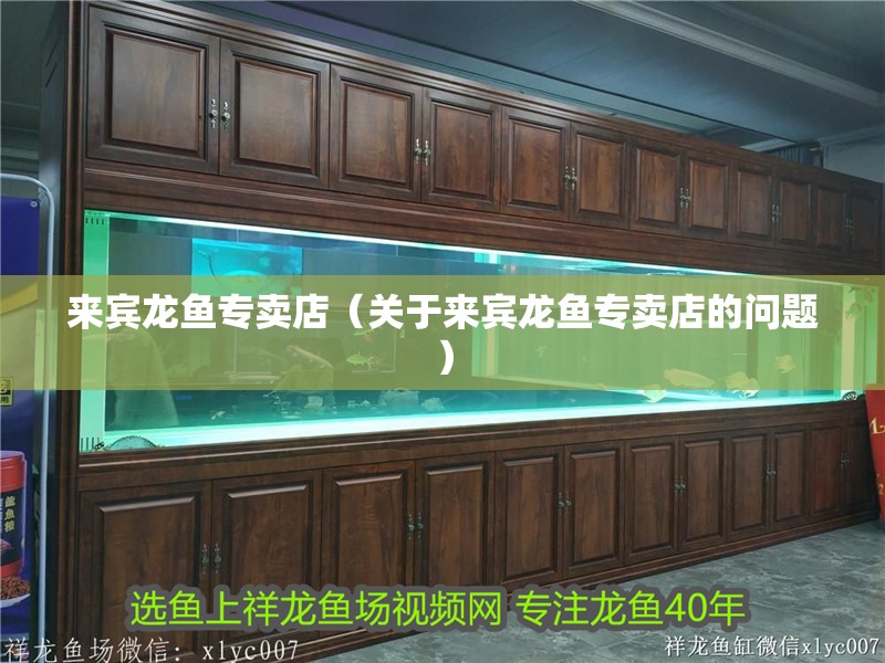 來賓龍魚專賣店（關于來賓龍魚專賣店的問題）
