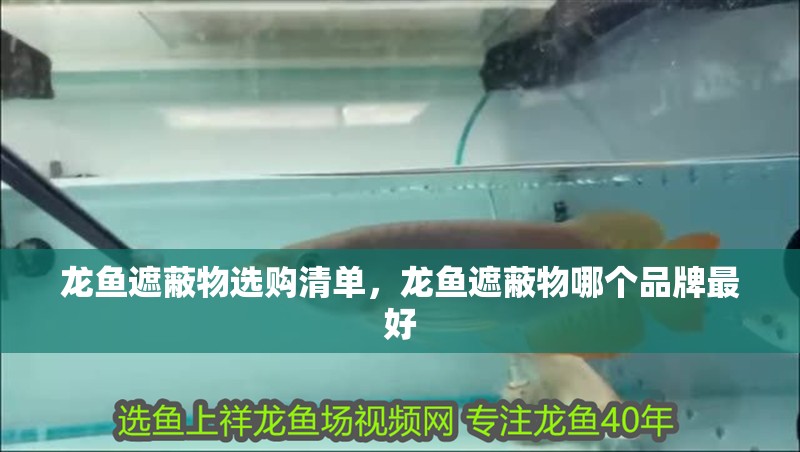 龍魚遮蔽物選購清單，龍魚遮蔽物哪個品牌最好