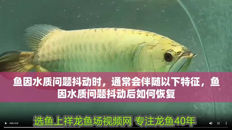 魚因水質問題抖動時，通常會伴隨以下特征，魚因水質問題抖動后如何恢復
