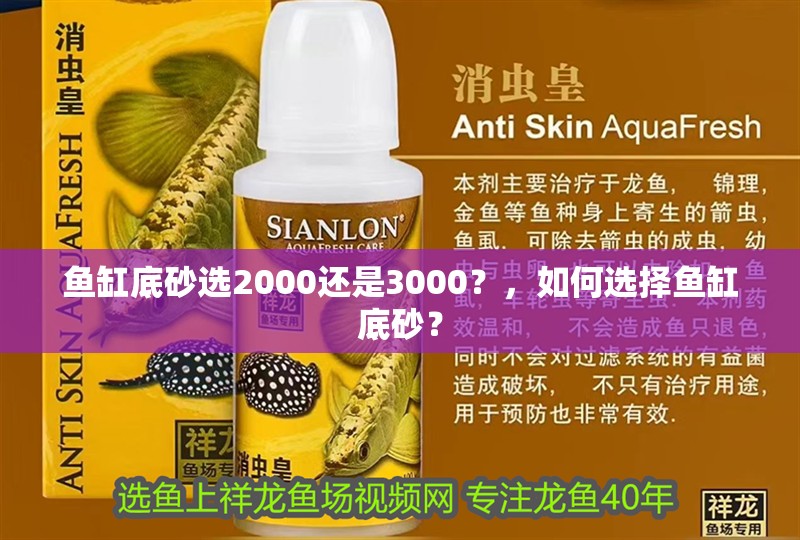 魚缸底砂選2000還是3000？，如何選擇魚缸底砂？