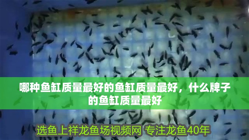 哪種魚缸質量最好的魚缸質量最好，什么牌子的魚缸質量最好