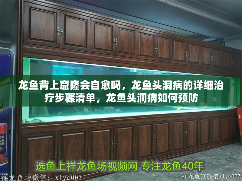 龍魚背上窟窿會自愈嗎，龍魚頭洞病的詳細治療步驟清單，龍魚頭洞病如何預防 龍魚背上窟窿會自愈嗎，龍魚頭洞病的詳細治療步驟清單，龍魚頭洞病如何預防 龍魚百科