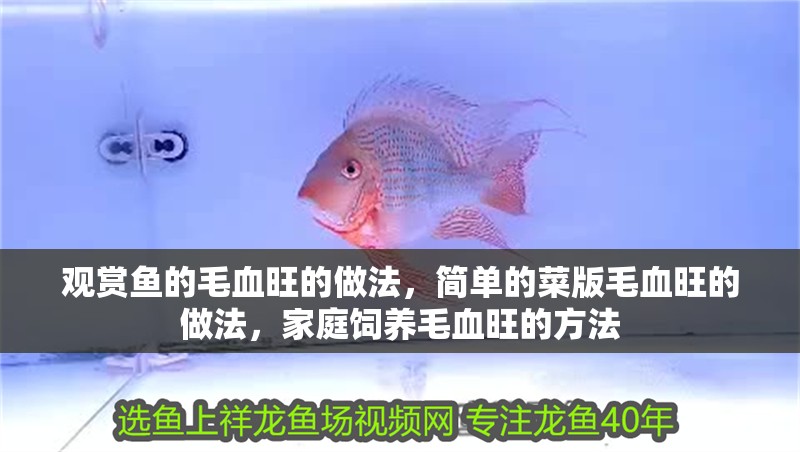 觀賞魚的毛血旺的做法，簡單的菜版毛血旺的做法，家庭飼養毛血旺的方法