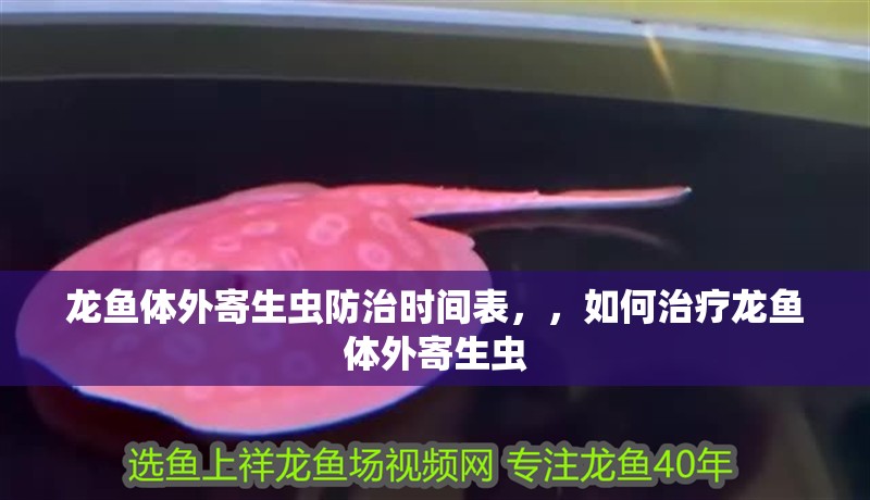 龍魚體外寄生蟲防治時間表，，如何治療龍魚體外寄生蟲