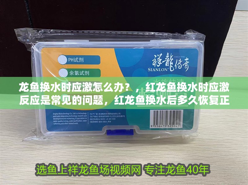 龍魚換水時應激怎么辦？，紅龍魚換水時應激反應是常見的問題，紅龍魚換水后多久恢復正常