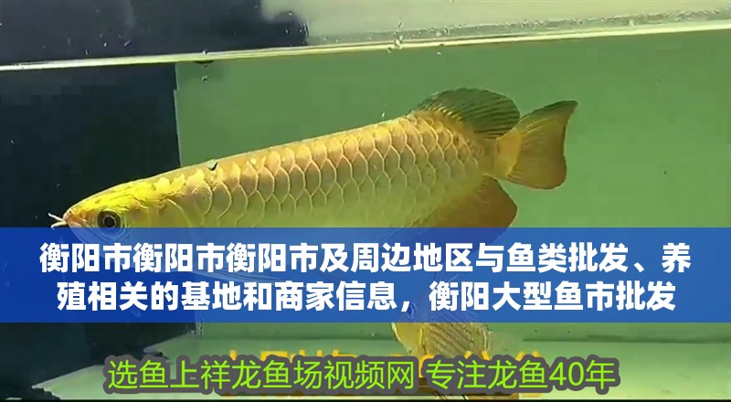 衡陽市衡陽市衡陽市及周邊地區與魚類批發、養殖相關的基地和商家信息，衡陽大型魚市批發市場