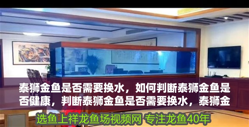 泰獅金魚是否需要換水，如何判斷泰獅金魚是否健康，判斷泰獅金魚是否需要換水，泰獅金魚換水操作步驟清單