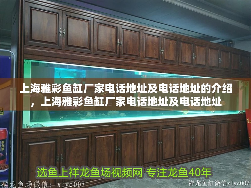 上海雅彩魚缸廠家電話地址及電話地址的介紹，上海雅彩魚缸廠家電話地址及電話地址